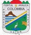 Escudo de arauca